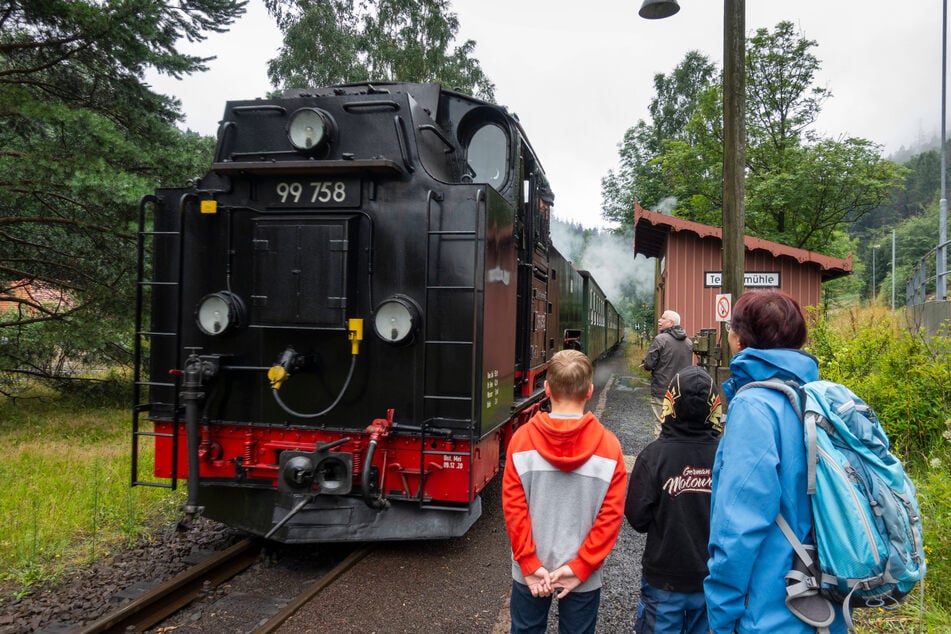 Zieht bei Eisenbahnromantikern immer: die Zittauer Schmalspurbahn (hier am Bahnhof Teufelsmühle in Oybin).