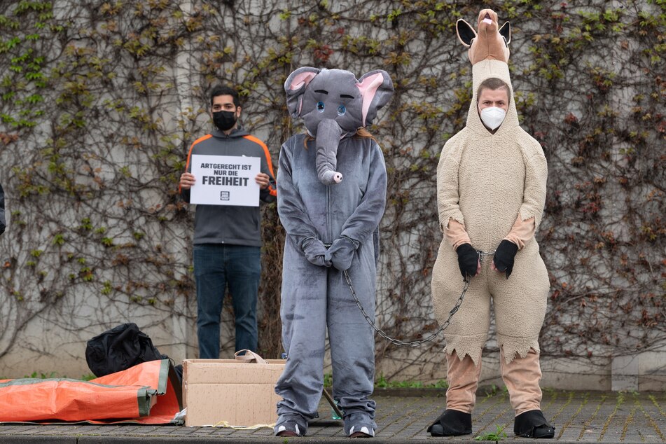 Teilnehmer der Protestaktion auf dem Dresdner Messegelände.