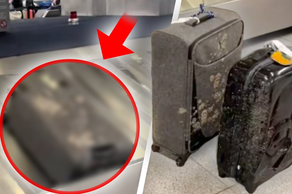 Ekel-Alarm am Flughafen: Koffer mit Kot und Urin beschmiert?