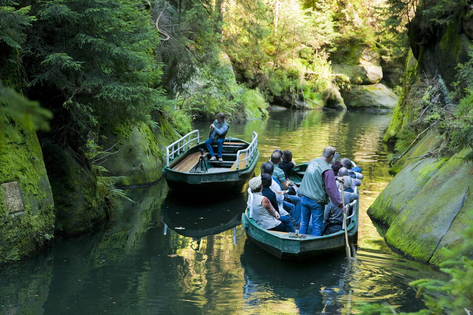 In der Kirnitzschtalklamm darf wieder gegondelt werden.