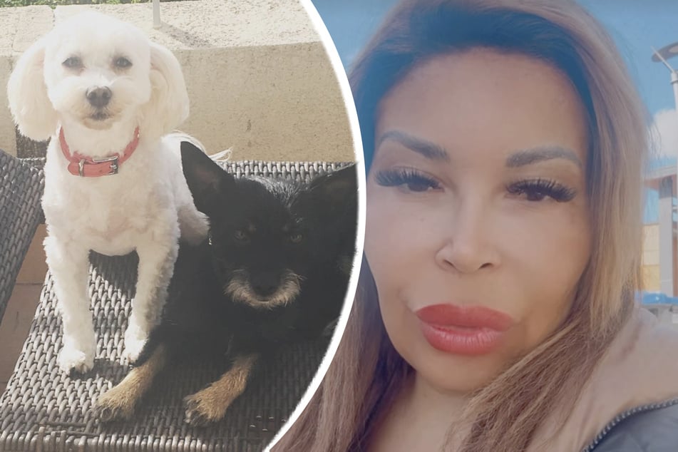 Schlimme Diagnose: Patricia Blanco bangt um Malteser-Hündin Sissi