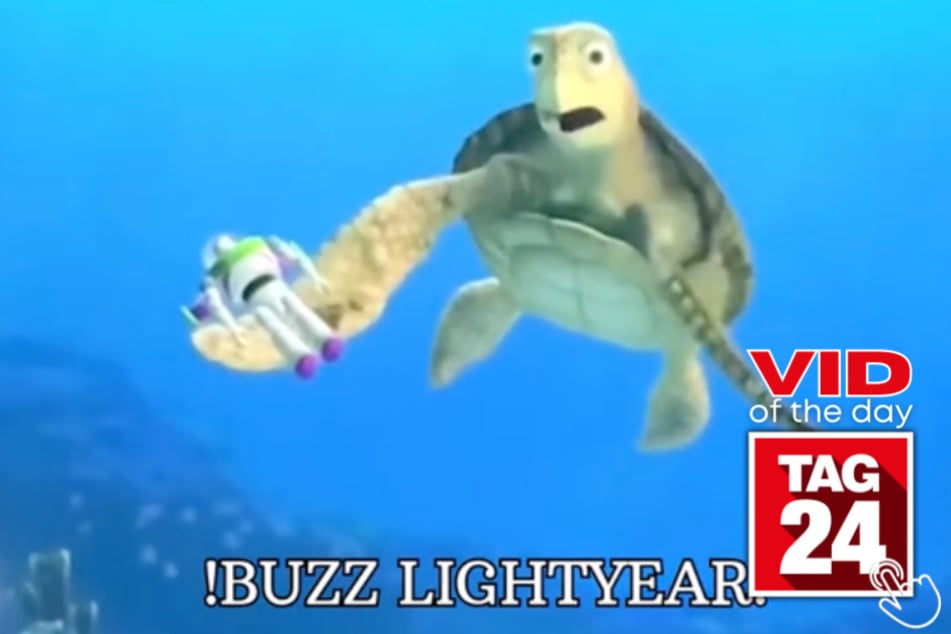 Today's Viral Video of the Day features the moment Crush from Finding Nemo made a little kid's day at Disney by surprising him with a familiar toy!