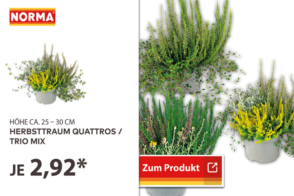 Herbsttraum quattros/trio für 2,92 Euro.