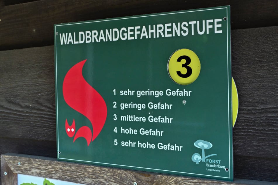 In zwölf von 14 Brandenburger Landkreisen ist am Donnerstag die Waldbrandstufe 3 ausgerufen worden.