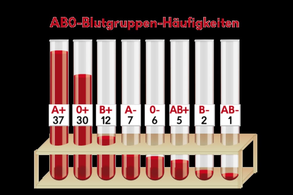 Die Häufigkeit von Blutgruppen in Deutschland in Prozent: Die zwei wichtigsten Blutmerkmale sind Blutgruppe (A, B, AB, 0) und Rhesusfaktor (+ oder -).