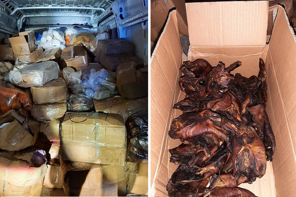 Polizei entdeckt Brat-Fledermäuse in Transporter - doch das ist noch längst nicht alles