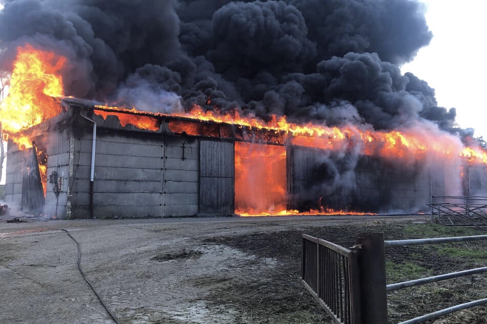 Die Lagerhalle brannte in voller Ausdehnung.