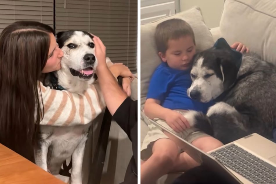 Es passt perfekt: Die Kinder lieben Bruno über alles.