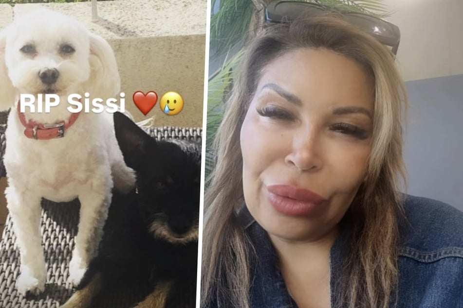 Patricia Blanco in großer Trauer! Hündin Sissi ist tot