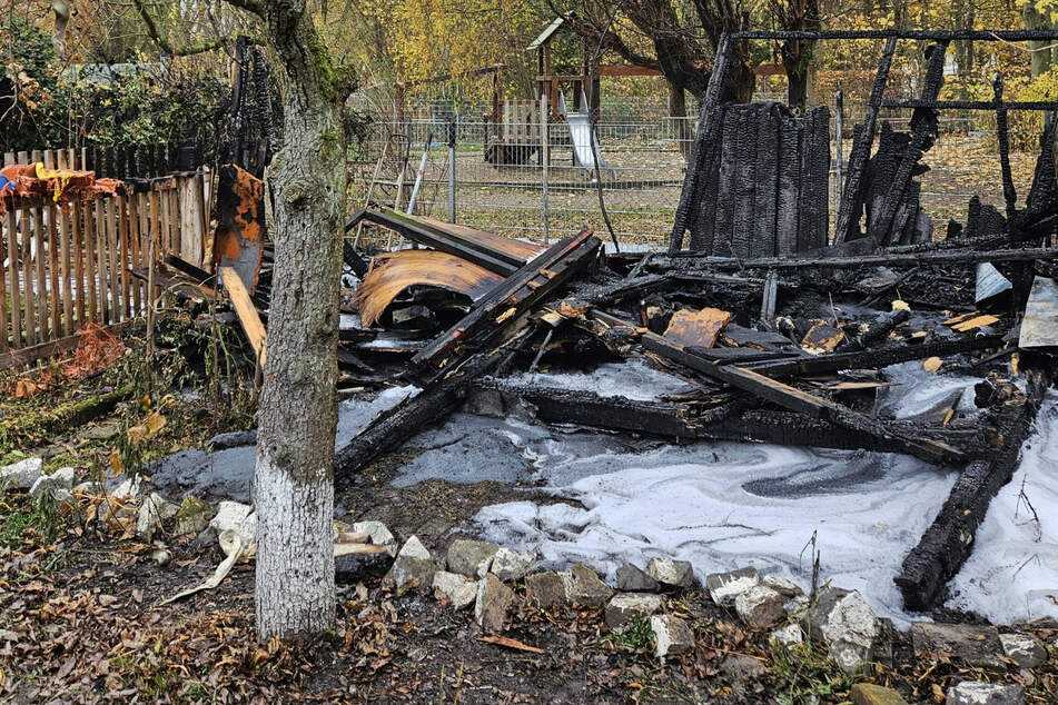 Leipzig: Verheerender Brand in Kleingarten: Laube vollständig zerstört