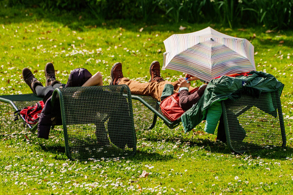 Schon am Mittwoch kann man die Zeit für ein kleines Sonnenbad nutzen, so wie hier im Frankfurter Palmengarten.