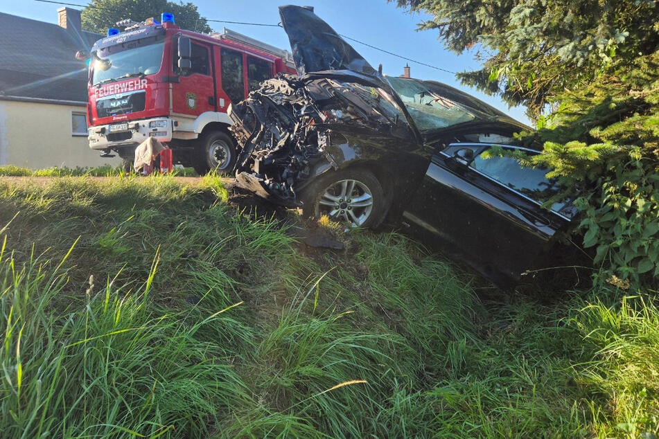 Der Ford knallte gegen einen Baum und kam im Straßengraben zum Stehen.