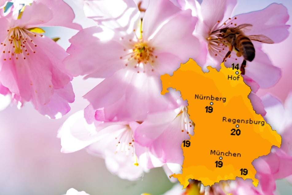 Temperatursturz: Bis zu 21 Grad am Tag, nachts Bodenfrost möglich