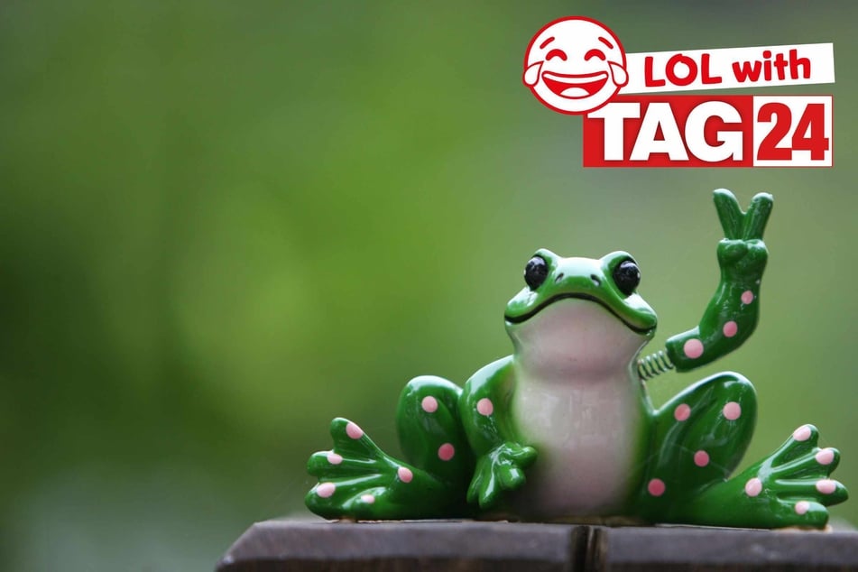 Joke of the Day for September 3, 2025: A frog funny to make you smile