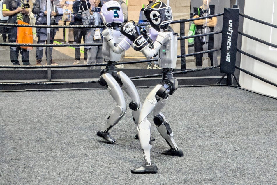 Die Roboter kämpfen im Ring mit harten Bandagen.