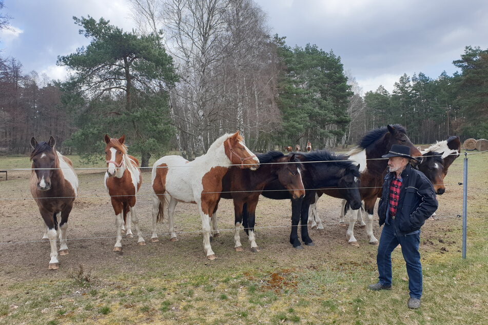 Züchter Gunther Drogan (66) mit "Onassis" und Ponys an der Koppel.