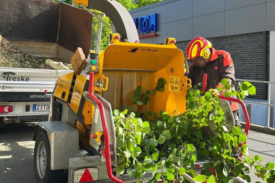 Sägen, häckseln, absichern – bei Treske Baum- &amp; Landschaftspflege bist Du Teil eines starken Teams, das draußen richtig was bewegt.