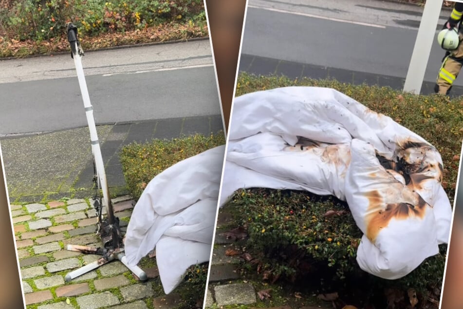 Panagiota Petridou (46) riet ihren Fans dringend, Heizstrahler von der Steckdose zu nehmen.