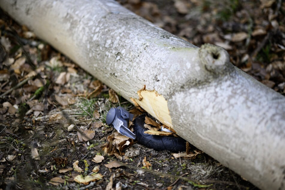 Nun wird klar: Der Baum hätte gefällt werden sollen.