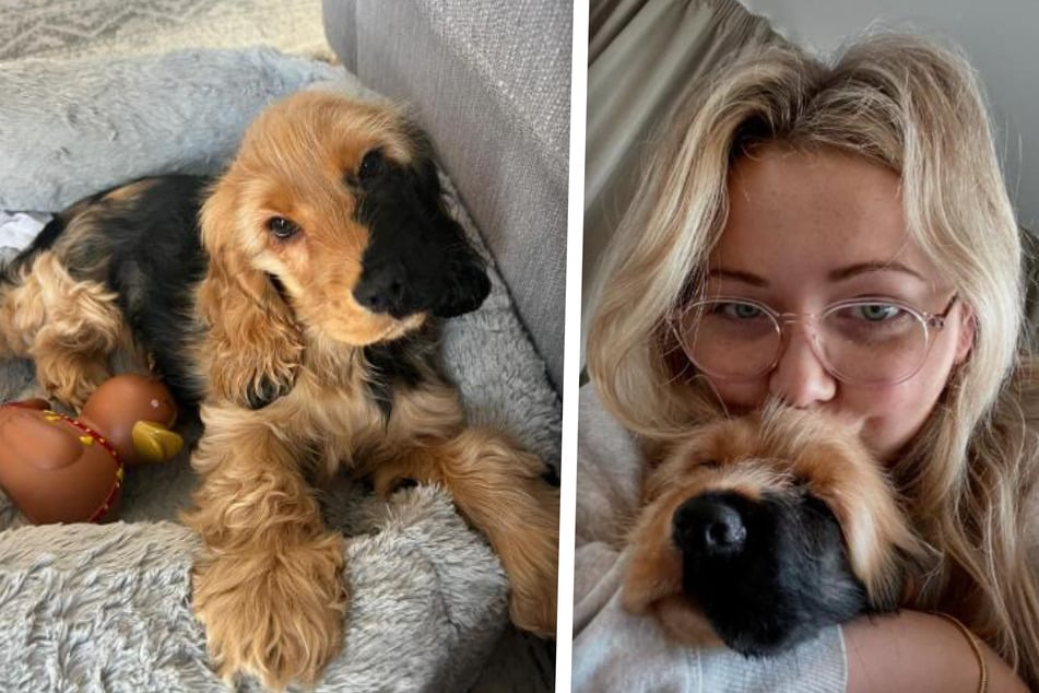 Ralphie sorgt nicht nur bei seinem Frauchen für Begeisterung.