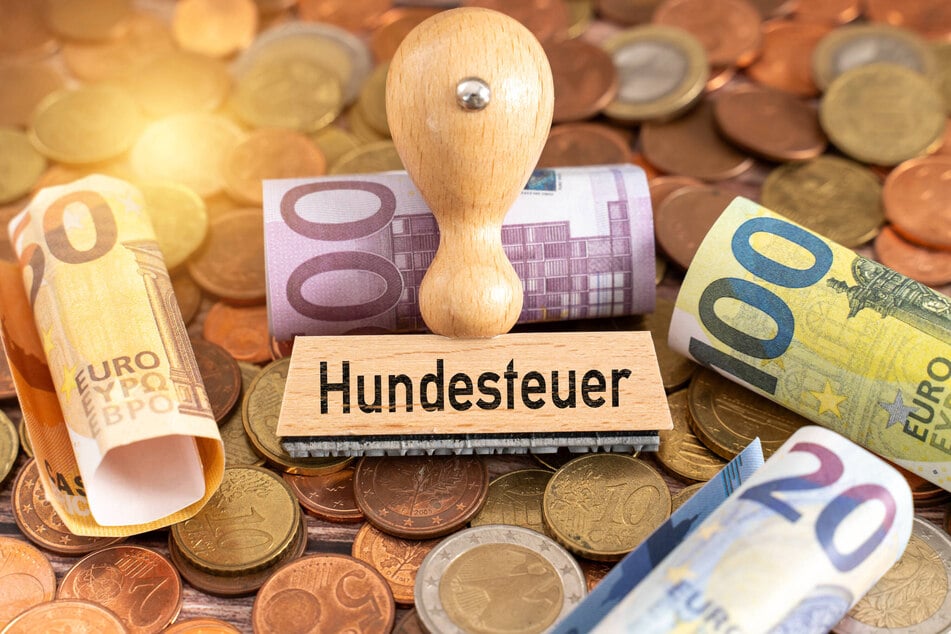 Wie viele sächsische Gemeinden hat Reichenbach die Hundesteuer kürzlich erhöht.