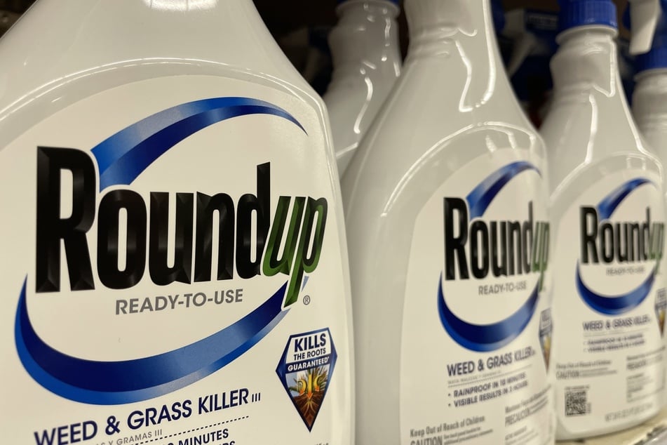 The weed killer Roundup is pictured on the shelves of a Walmart supercenter in Waynesboro, Georgia.