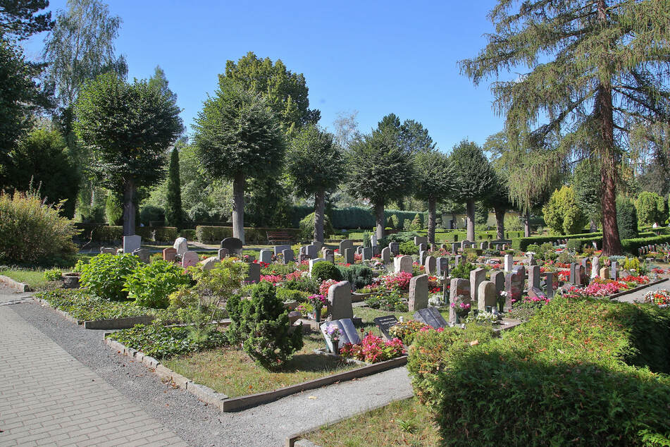 Auf diesem Friedhof in Heidenau trieben die Grabräuber ihr Unwesen.