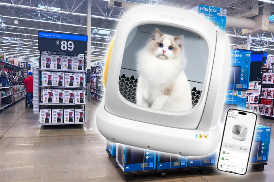 This smart self-cleaning cat litter box is now at its lowest price ever: 228 bucks cheaper!