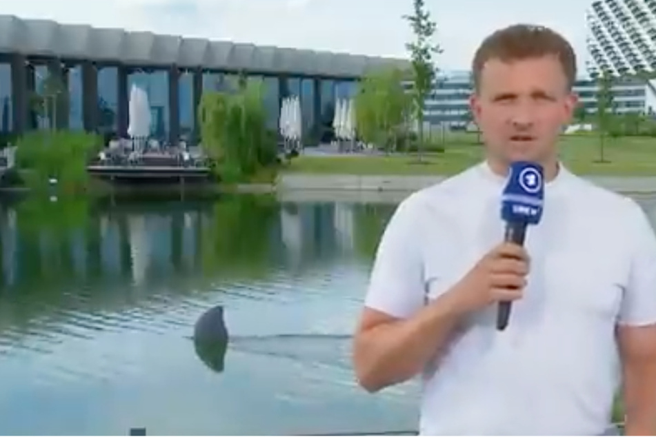Was ragt denn da hinter Reporter Lennert Brinkhoff (36) aus dem Wasser? Ist es ein Hai?