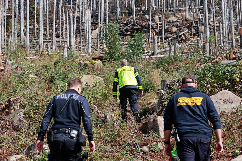 Der Einsatz beim Waldbrand am Königsberg wird auch am Mittwoch weitergeführt.