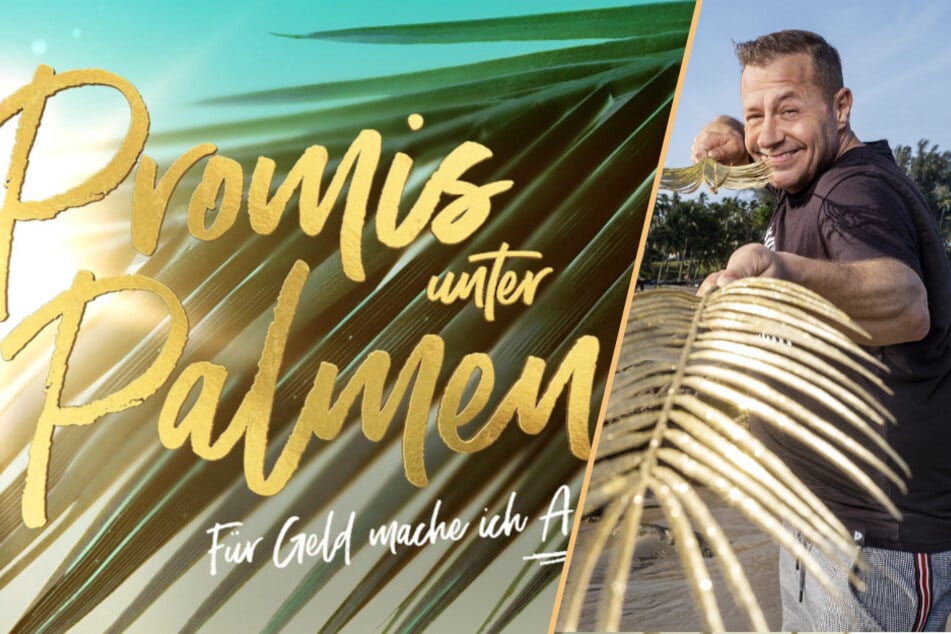 Promis unter Palmen: Nach Tod von Willi Herren: "Promis unter Palmen" wird abgesetzt!