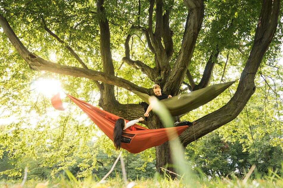 Hängematten kann man auf dem Balkon, im Garten zwischen zwei Bäumen, warum dann also nicht in einem Baum anbringen?