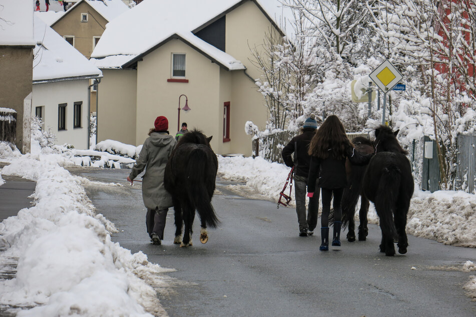 Nach der Rettung konnten die Besitzer die Tiere wieder nach Hause bringen.