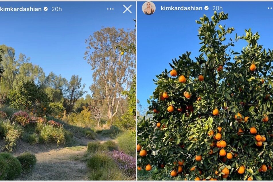 Kim Kardashian shared several shots and clips from her large home garden, including a citrus tree and