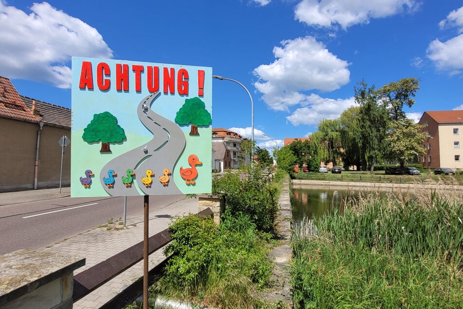 Die Warnschilder wurden jetzt an potenziellen Übergangsorten der Enten aufgestellt.