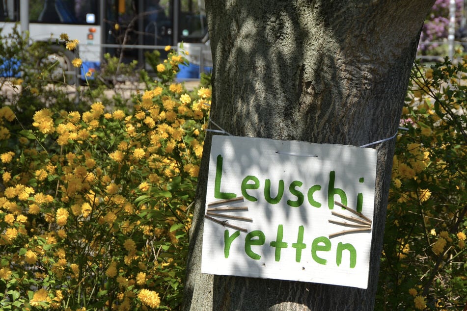 "Leuschi retten" haben Naturschützer auf ein Plakat geschrieben und an einen Baum gehängt.