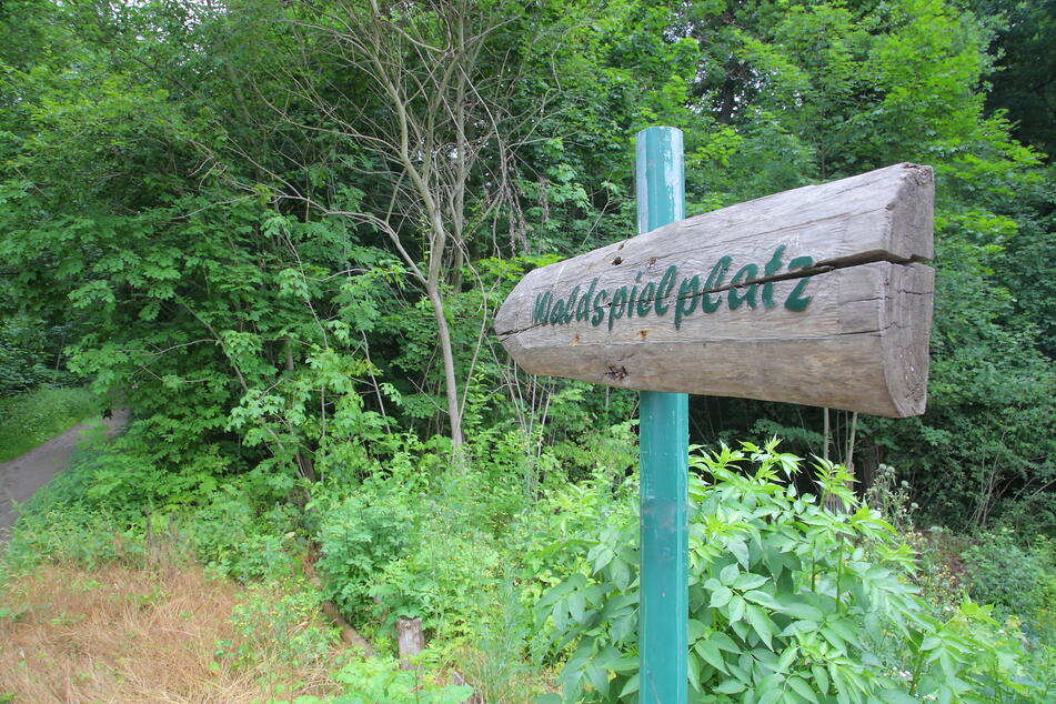 Wald oder Park? Der Rat entscheidet zum Albertpark samt Waldspielplatz.