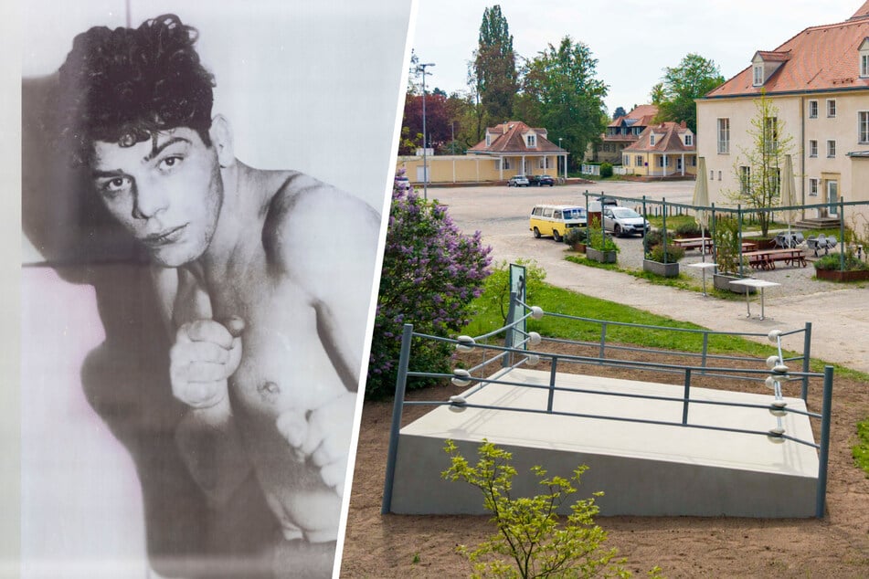 Dresden: Sanierung ja, Umzug nein: Dresdner Boxer-Mahnmal glänzt wieder - wenn auch am alten Standort