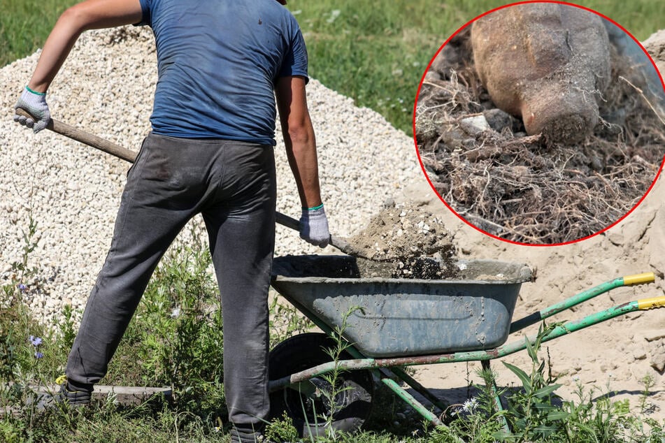 Schockmoment bei Gartenarbeit: Mann fällt plötzlich Handgranate in die Schubkarre