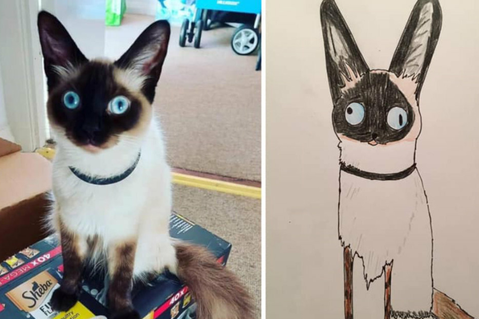 Ob Hund, Katze oder Maus, der Künstler Hercule verewigt jedes Haustier auf einem Blatt Papier.