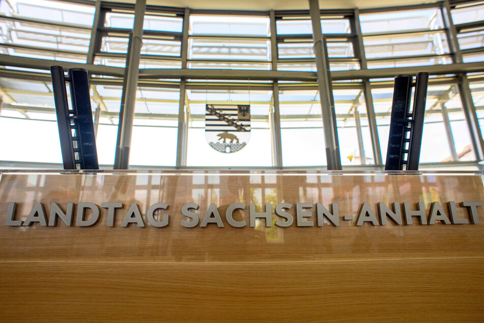 Laut LAMSA fehlt es in der Landespolitik Sachsen-Anhalts an Vielfalt.