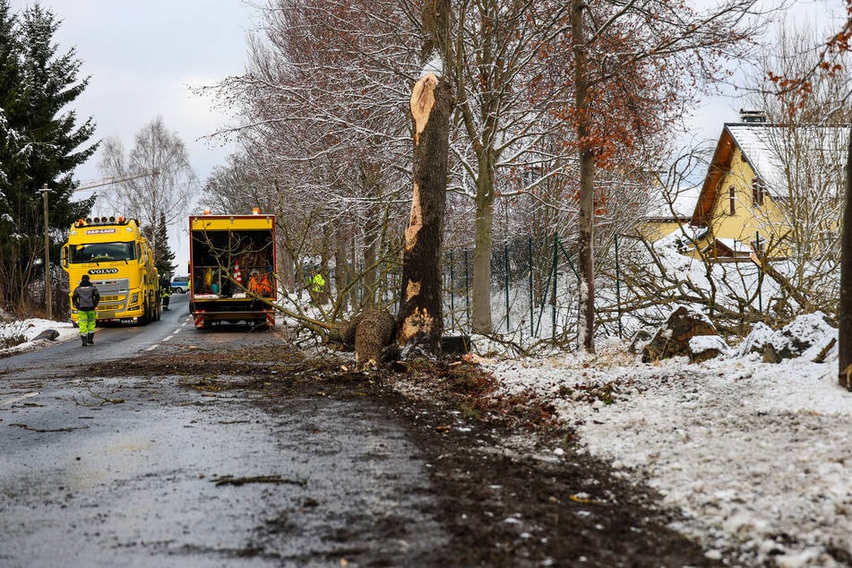 Auf der Straße verteilten sich Äste und Erde - es folgte eine stundenlange Sperrung.