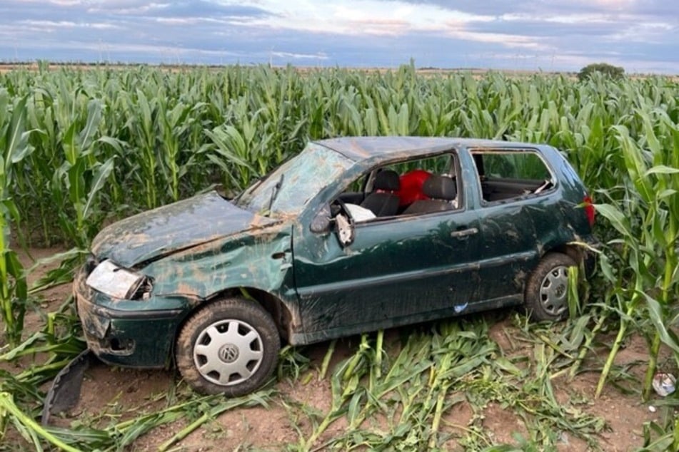 Der VW Polo landete nach einem Überschlag auf einem Maisfeld.