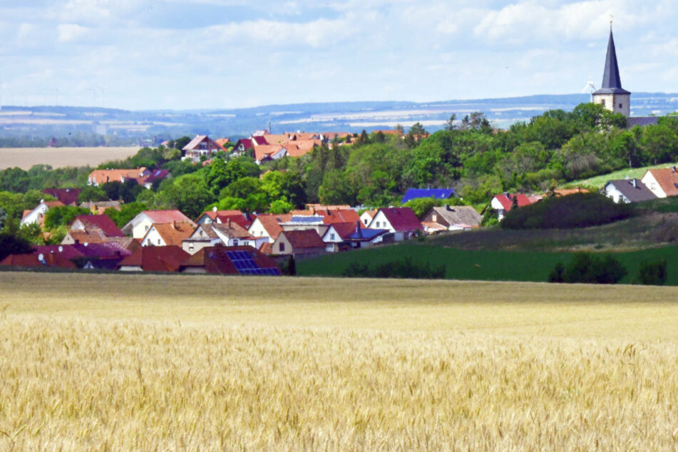 Blick auf ein Dorf hinter einem Weizenfeld. Die Präsenz von Familienunternehmen wirkt sich einer Studie zufolge positiv auf Bevölkerung, Wohlstand, Wirtschaftskraft und Erfindungsreichtum der Regionen aus. (Symbolbild)
