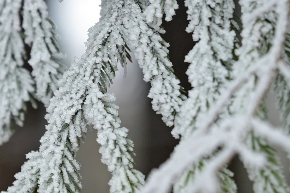 Frostige Temperaturen und kräftiger Wind bestimmen das winterliche Wetter in Thüringen über die Feiertage. (Symbolbild)