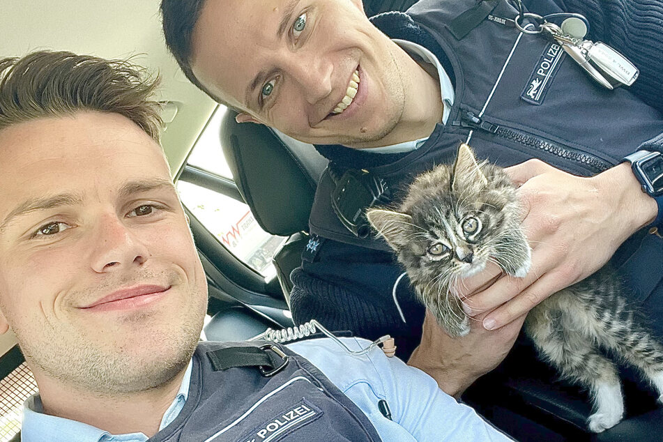 Heldenhaft! Die beiden Polizisten stoppten den Verkehr auf der A5, um dieses Katzenbaby zu retten.