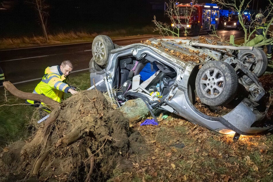 Durch die Kollision wurde der Baum entwurzelt.