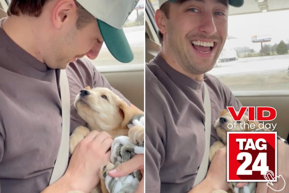 Today's Viral Video of the Day features a man whose dog fell in love with him the moment he held him for the first time.