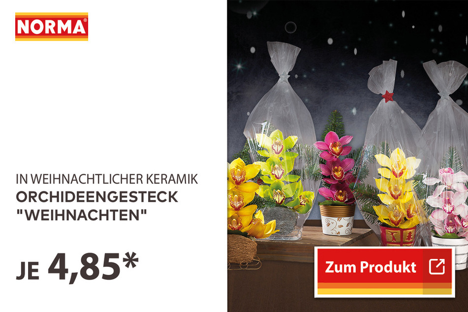 Orchideengesteck "Weihnachten" für 4,85 Euro.