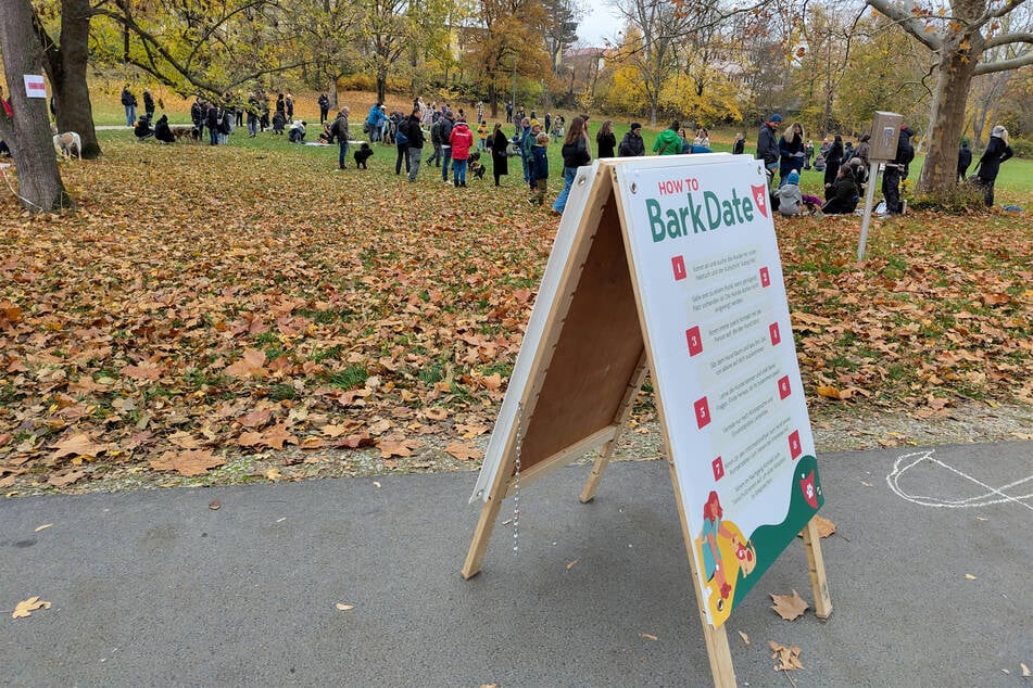 Das erste Bark Date 2026 in Erfurt findet am 8. Februar statt. Veranstaltungsort ist wieder die Hundewiese im Nordpark.